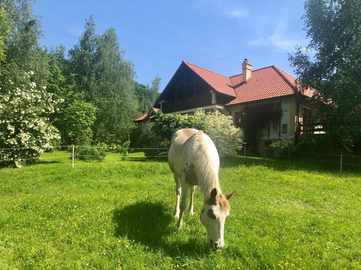Modryna Ranczo Bed & Breakfast Krasiczyn Exterior photo